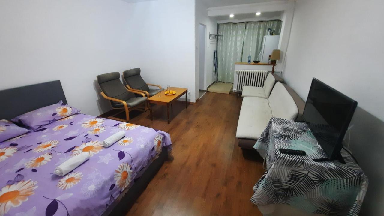 Lovely 1 Bedroom Apartment With Free Street Parking Bucarest Extérieur photo